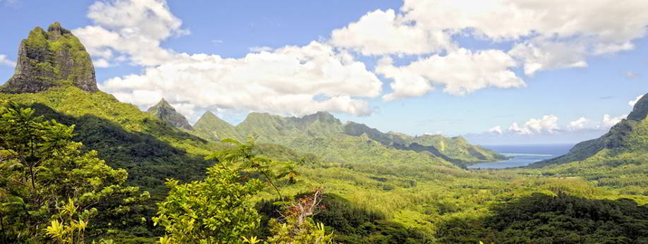 A paradise on earth